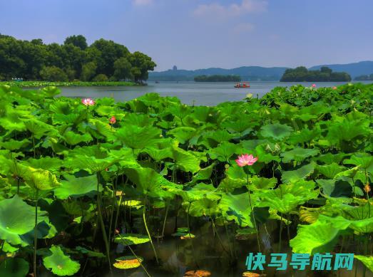 很热有什么解暑的好方法？2023年最热的是哪几天