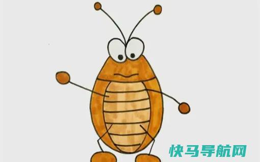 蟑螂会爬到耳朵里吗蟑螂爬到身上会怎么样