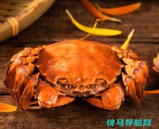 梭子蟹怎么看死没死？梭子蟹凉了怎么加热才好吃